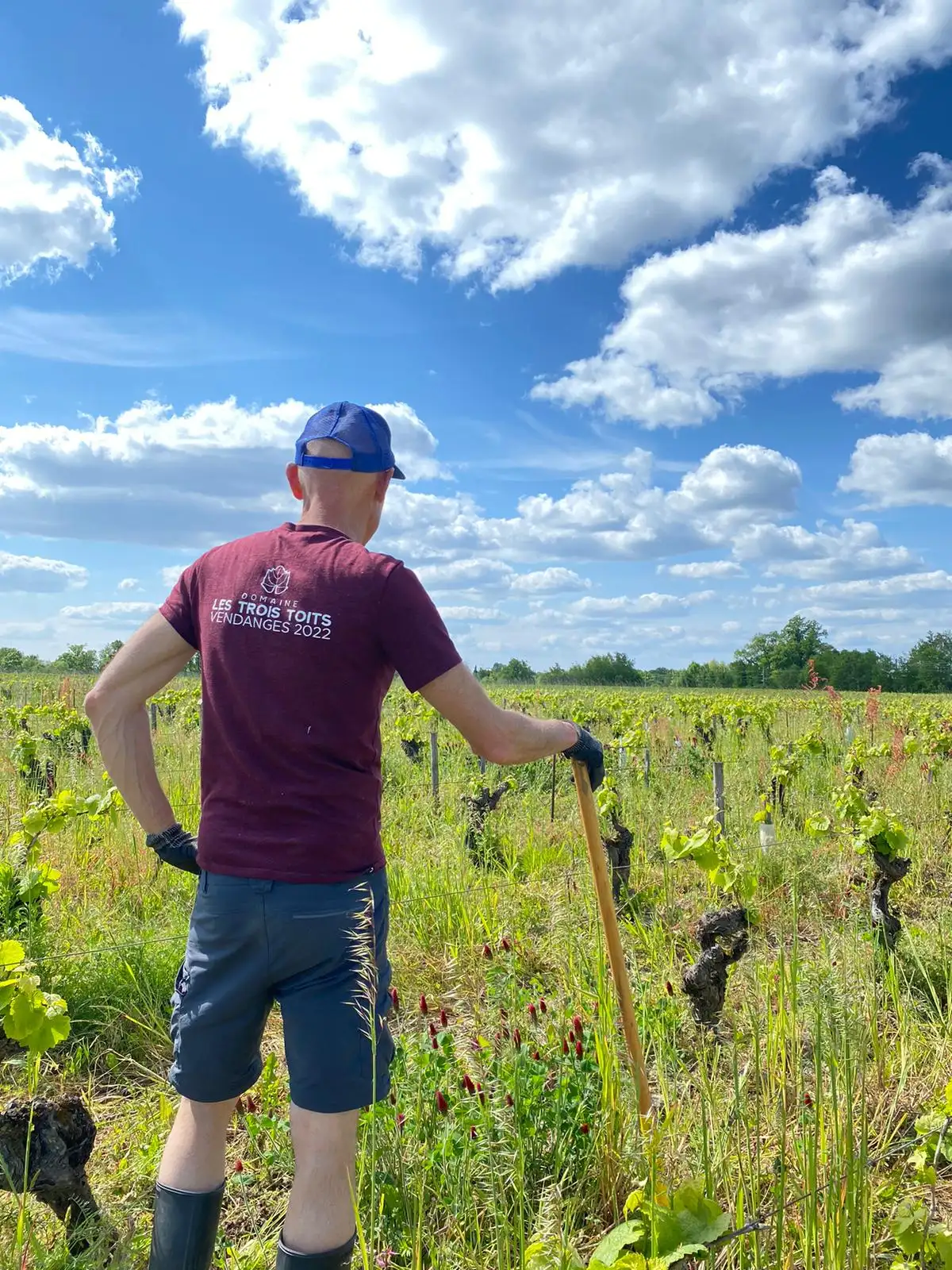 Un homme qui est dans les vignes