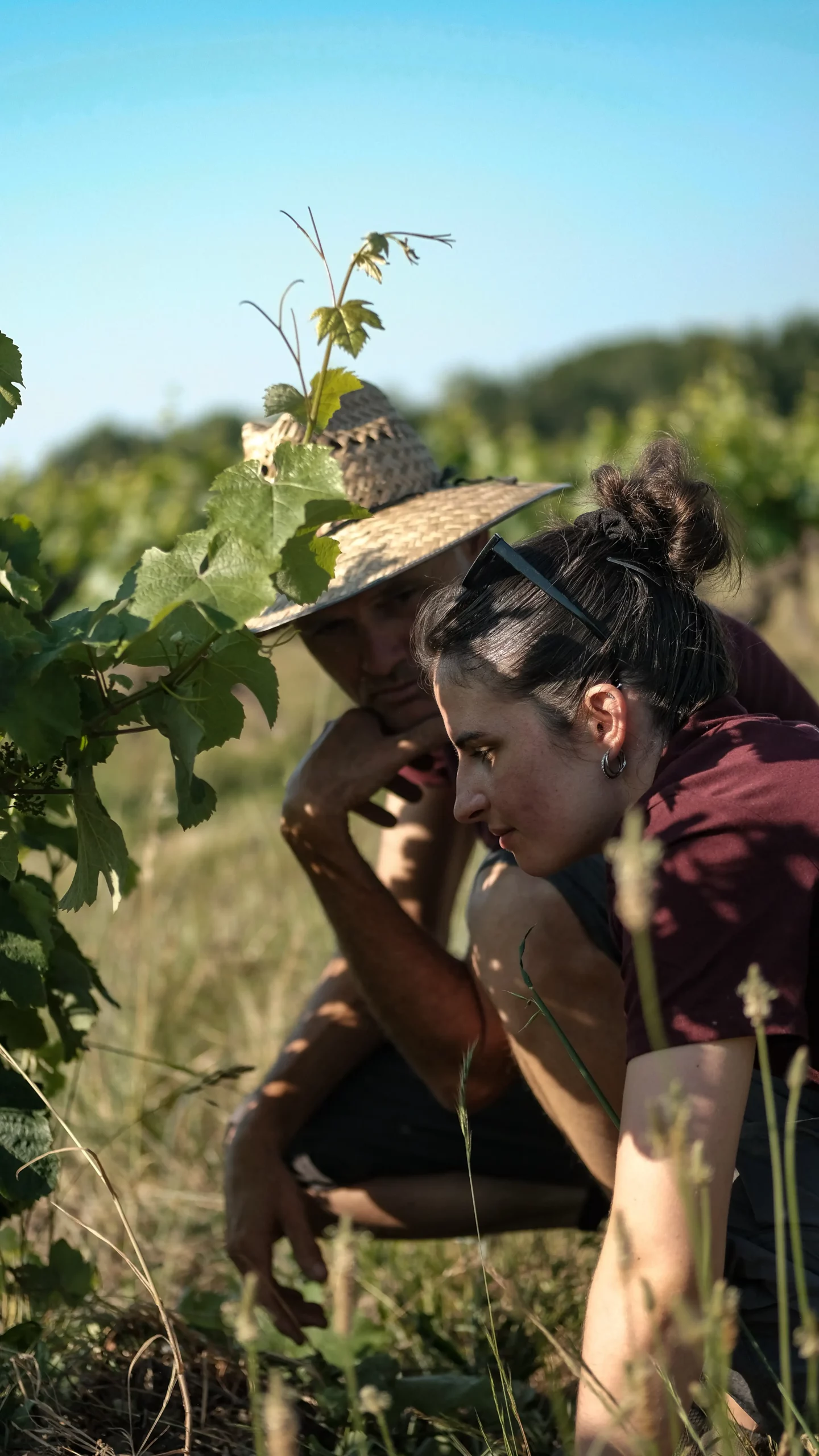 Personnes entre les vignes