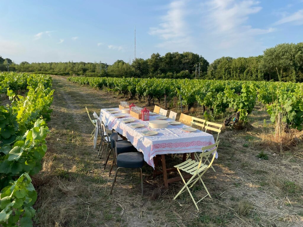 Table pour repas dans les vignes