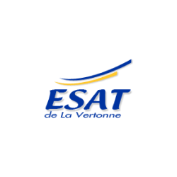 Logo Esat