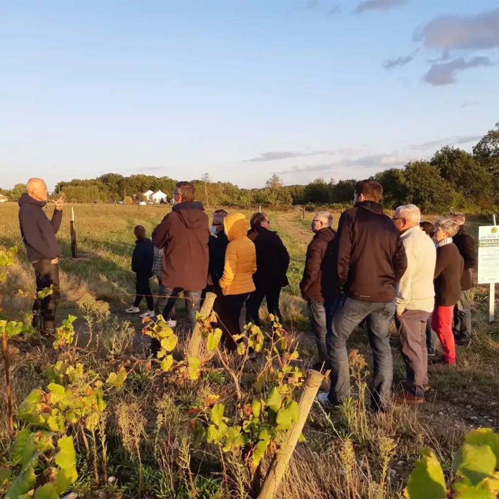 Groupe visite dans les vignes